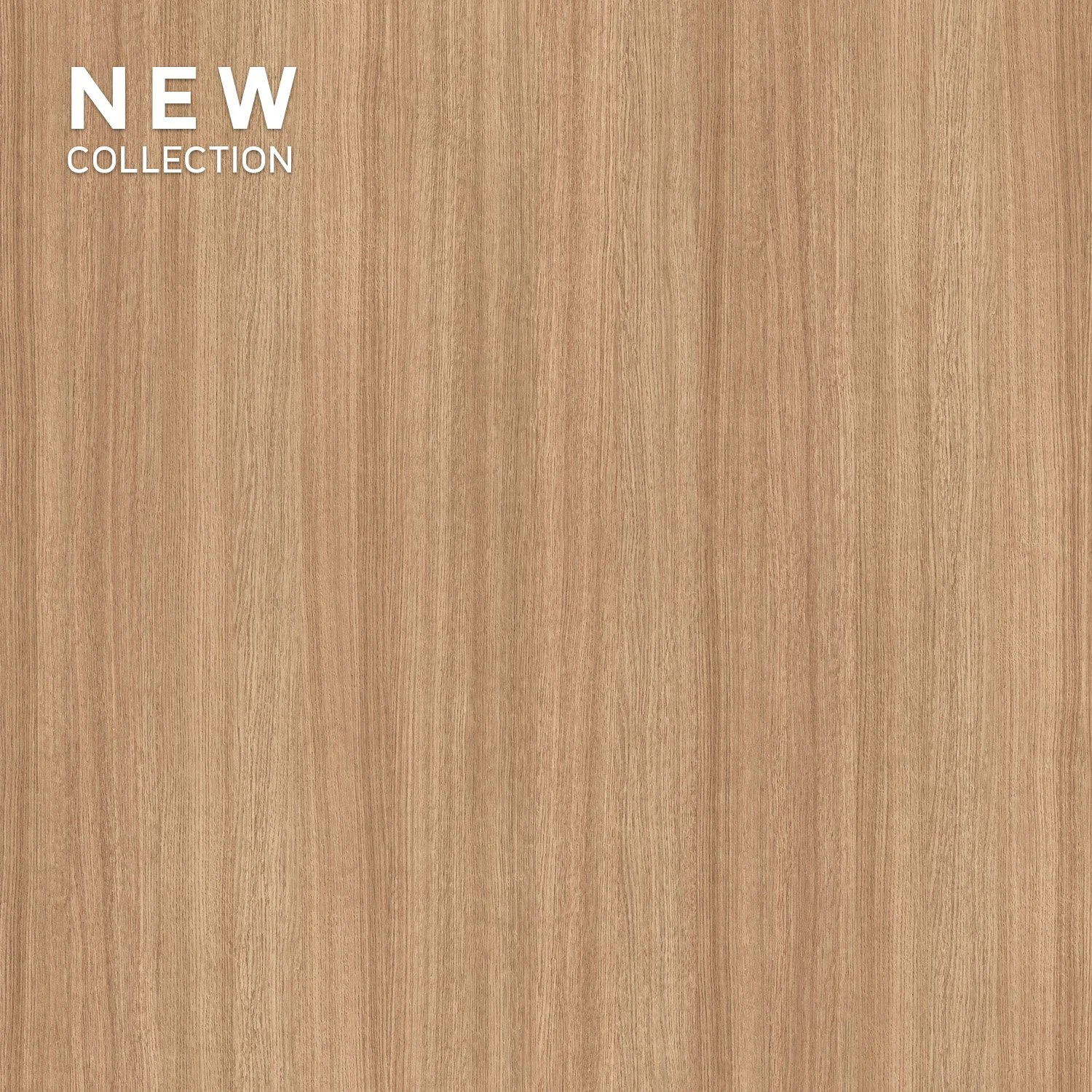 Melamine Faced Particle Board - K365 Coast Evoke Oak | WOODca